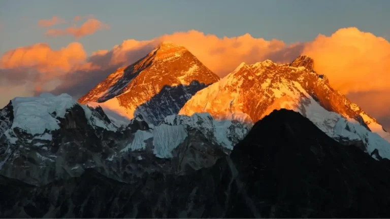 New Project - 2025-11-21T215812.963