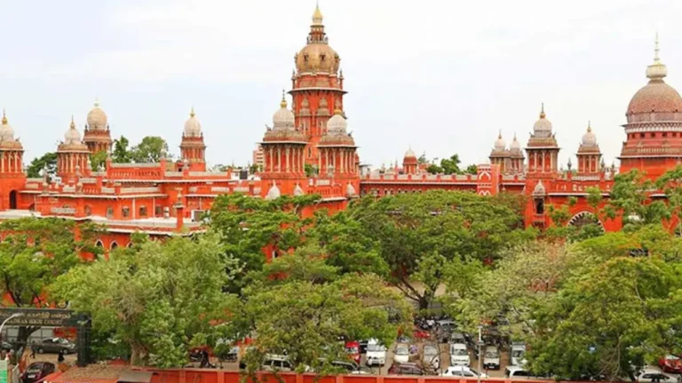 New Project - 2025-12-12T214249.096