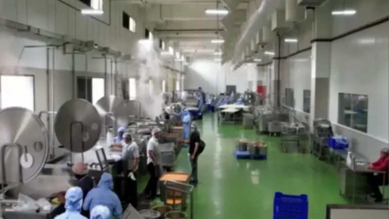 New Project - 2025-12-13T001035.910