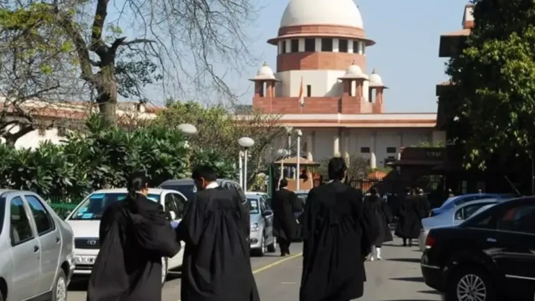 New Project - 2025-12-19T093116.617