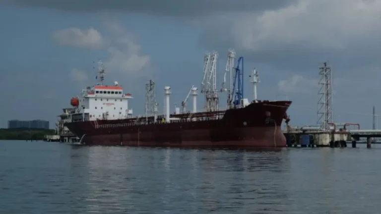 New Project - 2026-01-02T192029.492