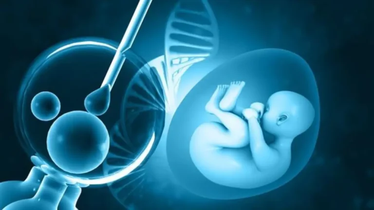 New Project - 2026-01-17T191226.765