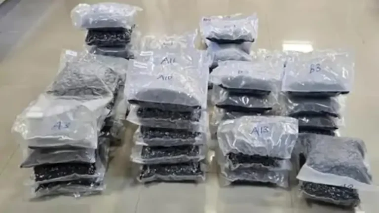 New Project - 2026-01-18T143356.123