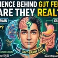 The Science Behind Gut Feelings – Are They Real?